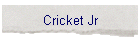 Cricket Jr